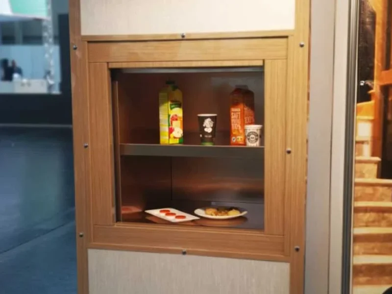 Dekoratif monşarj asansör