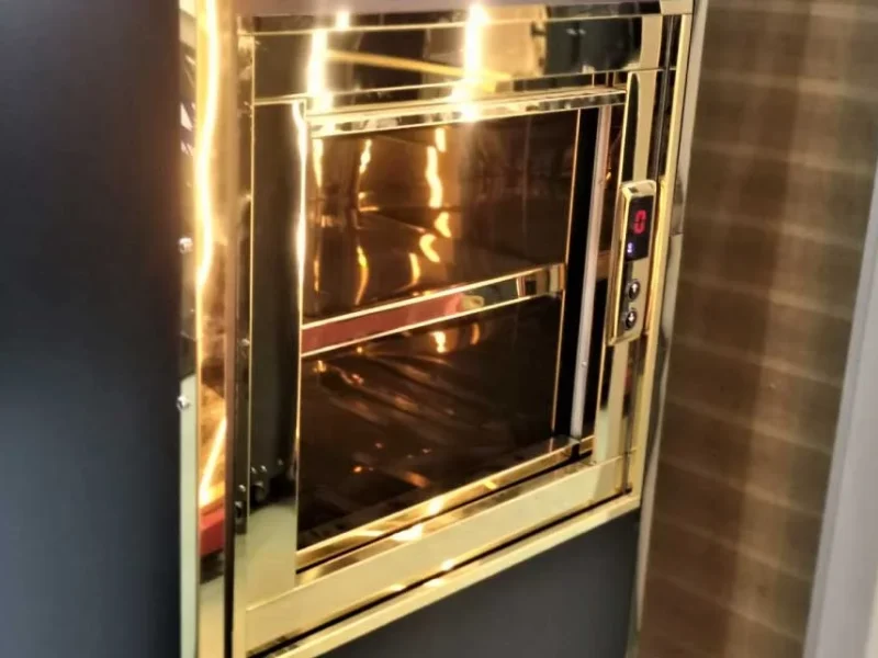 gold paslanmaz kapılı monşarj asansör